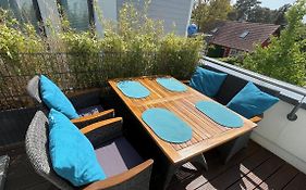 Kleine Robbe